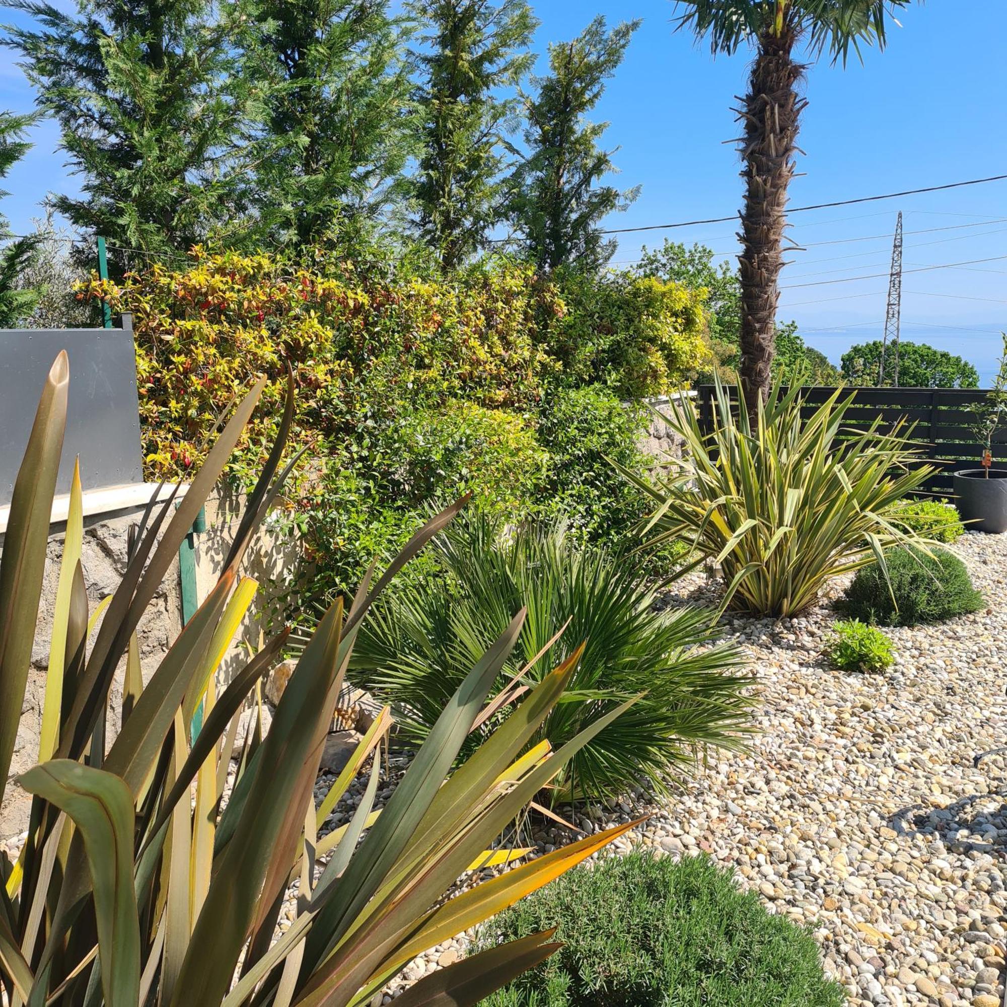 Villa Adriatic, Apartment Enio With Swimming Pool, Panoramic Sew View, Free Parking Ičići Εξωτερικό φωτογραφία